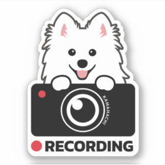 Japans Spitz Dashcam Waarschuwing vinyl sticker