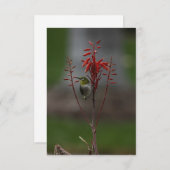Japans wit oog vogel bedankkaart (Voorkant / Achterkant)