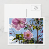 Japanse Anemoon Briefkaart (Voorkant / Achterkant)