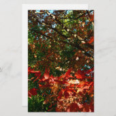 Japanse apel, herfstboombladeren briefpapier (Voorkant / Achterkant)