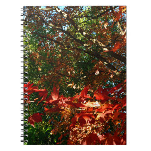 Japanse apel, herfstboombladeren notitieboek