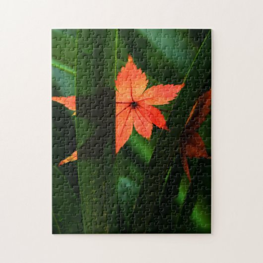 Japanse aple Leaf Legpuzzel (Verticaal)