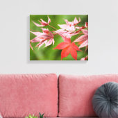Japanse aple Leaves Canvas Afdruk (Insitu (Woonkamer))