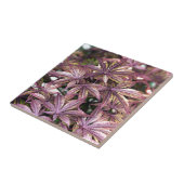 Japanse aple Leaves Tegeltje (Zijkant)