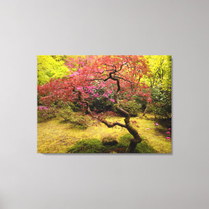 Japanse aple Tree Canvas afdrukken