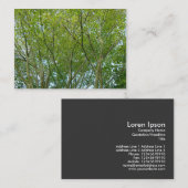 Japanse aple visitekaartje (Voorkant / Achterkant)