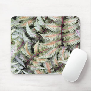 Japanse Athyrium Pictum varen fronds Muismat
