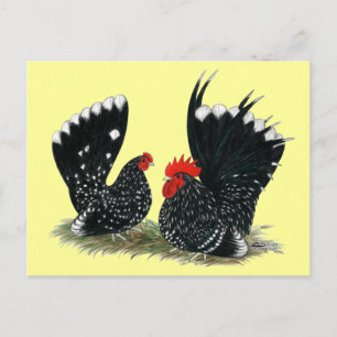 Japanse Bantams Mottled Briefkaart