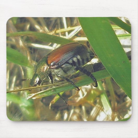 Japanse Beetle Mousepad Muismat (Voorkant)