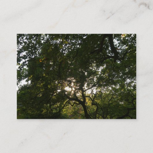 Japanse bijkantoren 04 visitekaartje (Voorkant)