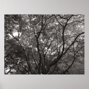 Japanse bijkantoren II Poster