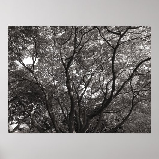 Japanse bijkantoren II Poster (Voorkant)