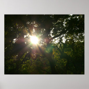 Japanse bijkantoren VII Poster