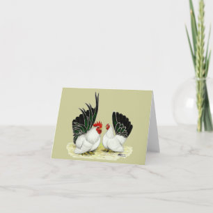 Japanse Blacktail Bantams Kaart