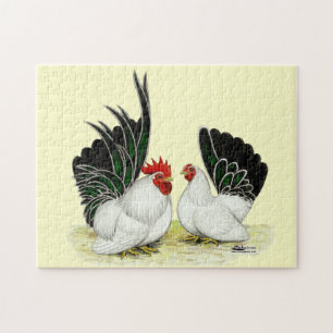 Japanse Blacktail Bantams Legpuzzel