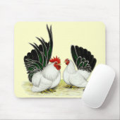 Japanse Blacktail Bantams Muismat (Met muis)