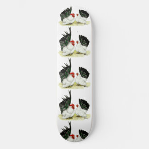 Japanse Blacktail Bantams Skateboard
