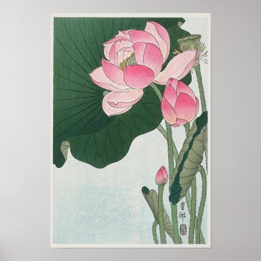  Japanse bloeiende Lotus Flowers Poster (Voorkant)