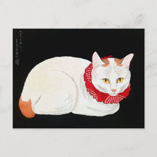 Japanse Bobtail Cat, Shotei Briefkaart (Voorkant)