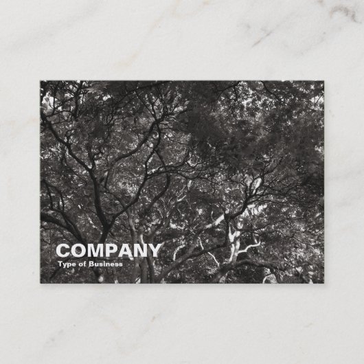 Japanse bomen 01 visitekaartje (Voorkant)