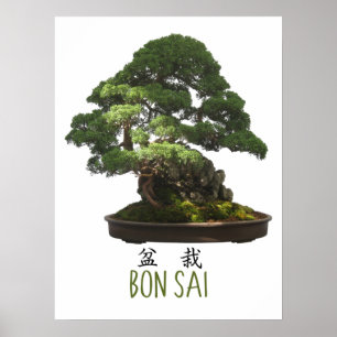 Japanse Bonsaiboom en Symbool Poster