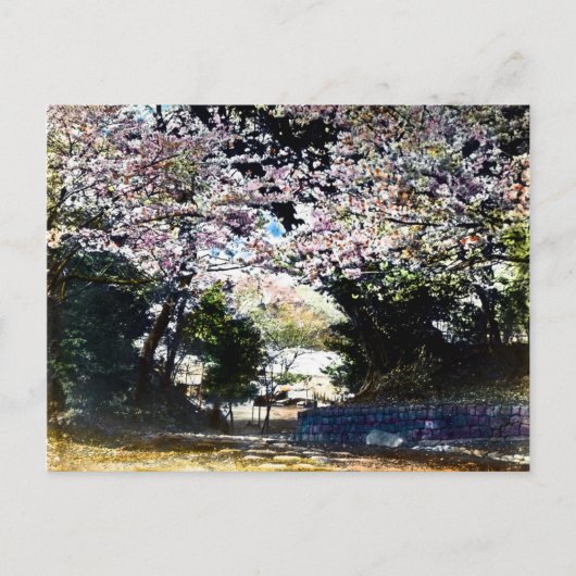 Japanse Cherry Blossom Briefkaart (Voorkant)