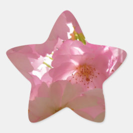 Japanse Cherry Blossom Ster Sticker