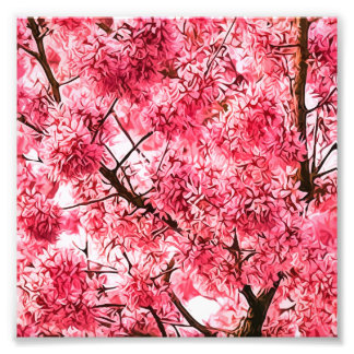 Japanse Cherry Blossom Tree (2013) Foto Afdruk
