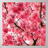 Japanse Cherry Blossom Tree (2013) Poster (Voorkant)