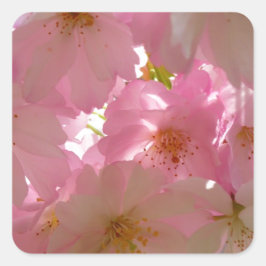 Japanse Cherry Blossom Vierkante Sticker