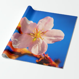 Japanse Cherry Sakura Flower Cadeaupapier