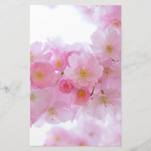 Japanse Cherry Tree Blossom Briefpapier (Voorkant)
