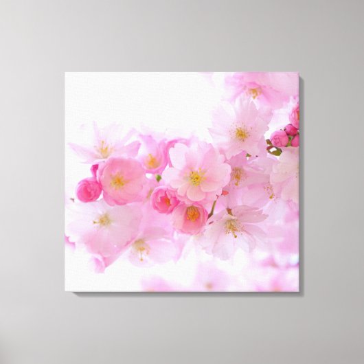 Japanse Cherry Tree Blossom Canvas Afdruk (Voorkant)
