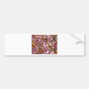 Japanse Cherry Trees Bumpersticker