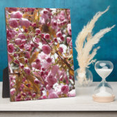 Japanse Cherry Trees Fotoplaat (Zijkant)