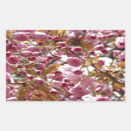 Japanse Cherry Trees Rechthoekige Sticker