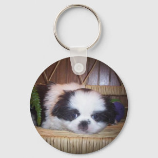 Japanse Chin Puppy Sleutelhanger