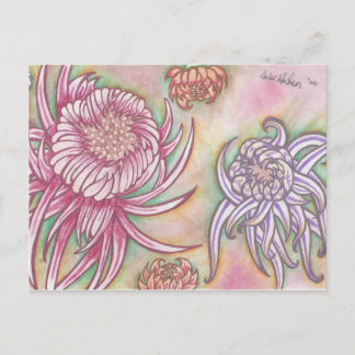 Japanse Chrysanthema Briefkaart