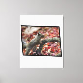 Japanse eekhoorn canvas afdruk (Voorkant)