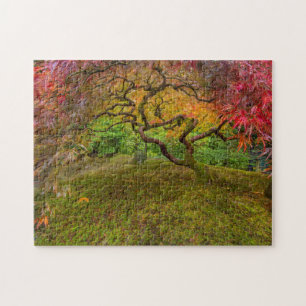 Japanse esdoorn in herfstkleuren legpuzzel