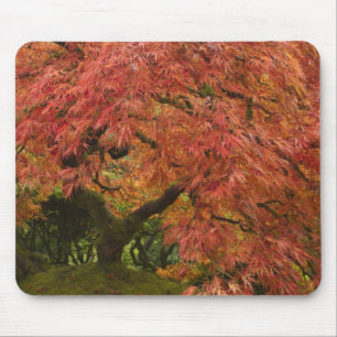 Japanse esdoorn in herfstkleuren muismat