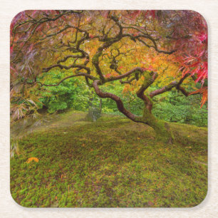 Japanse esdoorn in herfstkleuren vierkante kartonnen onderzetter
