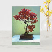 Japanse Esdoorn Kaart (Gele Bloem)