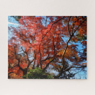 Japanse Esdoorns Legpuzzel