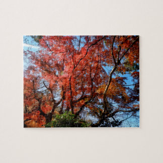 Japanse Esdoorns Legpuzzel
