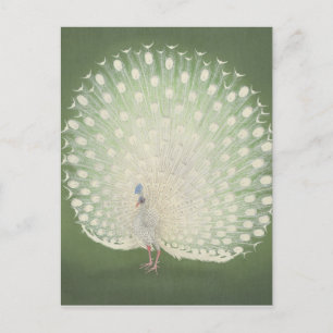  Japanse fijne kunst   Peacock Briefkaart