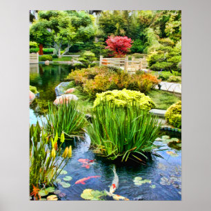 Japanse Garden Pond met Koi HDR. 10 juli Poster