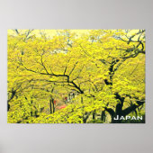 Japanse gele gingko-reisdruk poster (Voorkant)