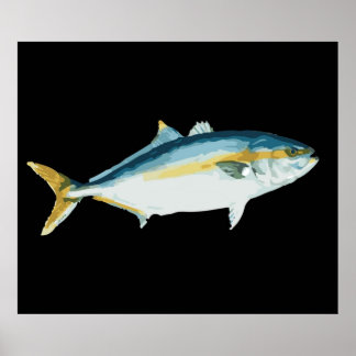 Japanse Hamachi Yellowtail Amberjack Poster