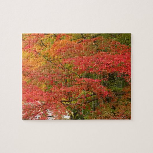 Japanse Herfst Legpuzzel (Horizontaal)